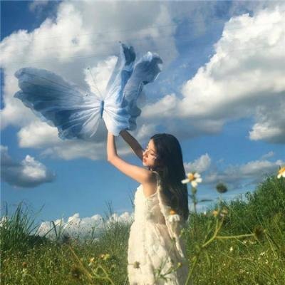 空中飞鸟